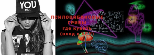гидра Абаза