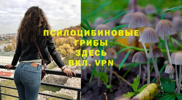 шишки Абинск
