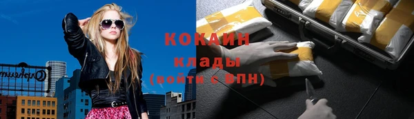 гидра Абаза