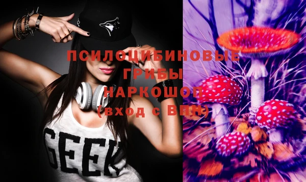 гидра Абаза