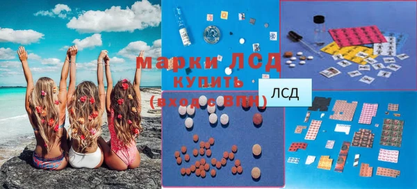 гидра Абаза