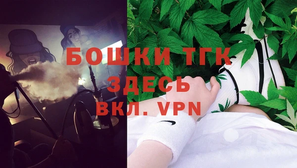 гидра Абаза