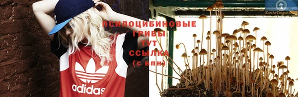 гидра Абаза