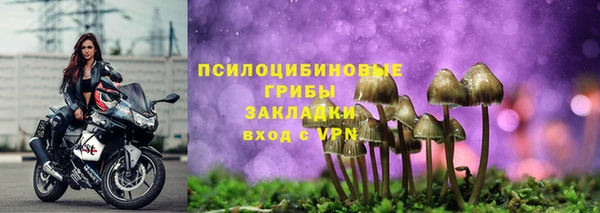 гидра Абаза