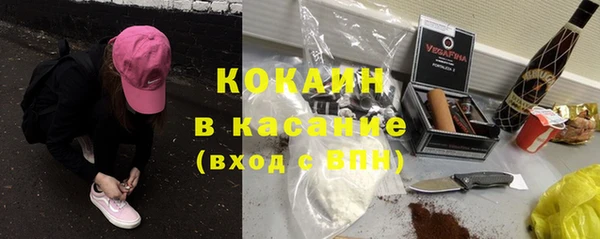 гидра Абаза