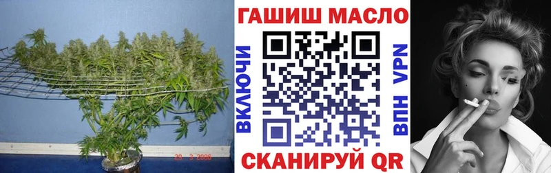 Дистиллят ТГК гашишное масло  купить наркоту  Новоалтайск 