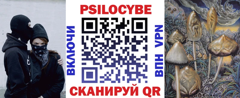 сколько стоит  Новоалтайск  Галлюциногенные грибы Psilocybe 